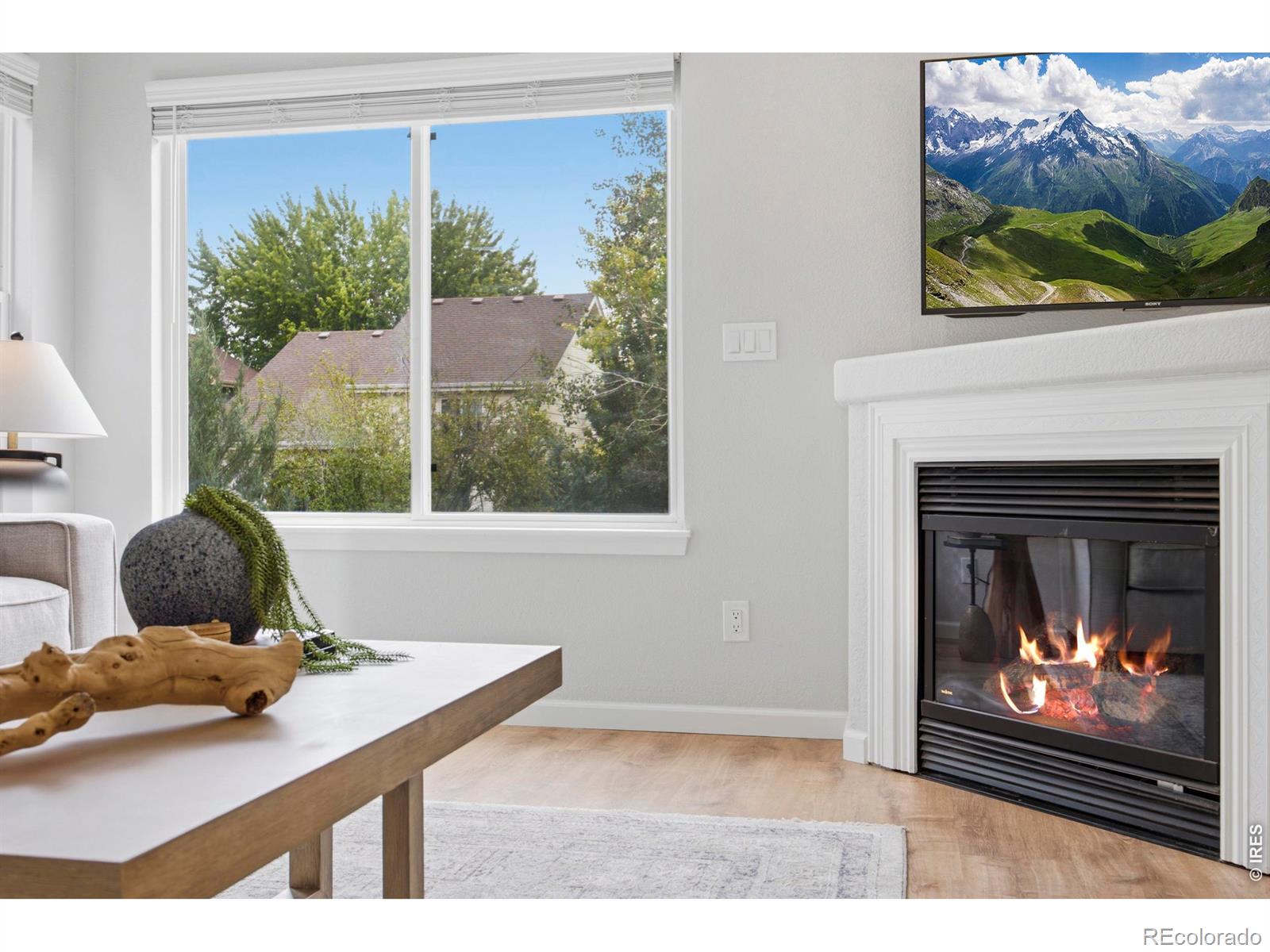 MLS Image #7 for 1227  dewey drive,fort collins, Colorado