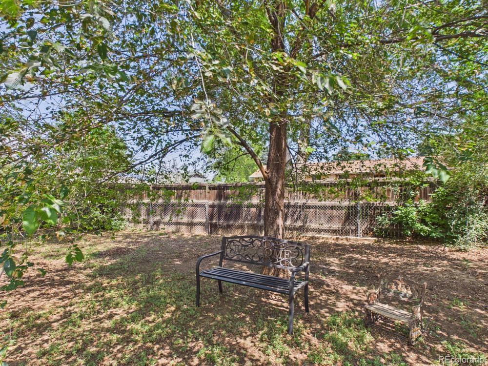 MLS Image #5 for 4570  hoyt street,wheat ridge, Colorado