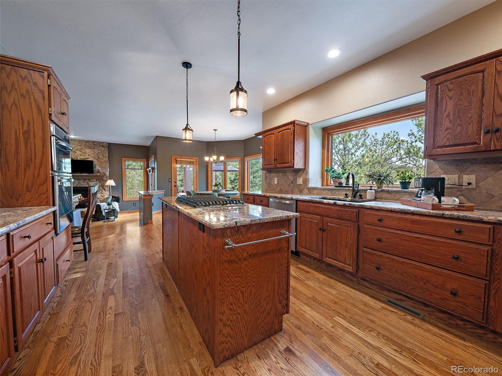 MLS Image #21 for 13695  may long court,pine, Colorado