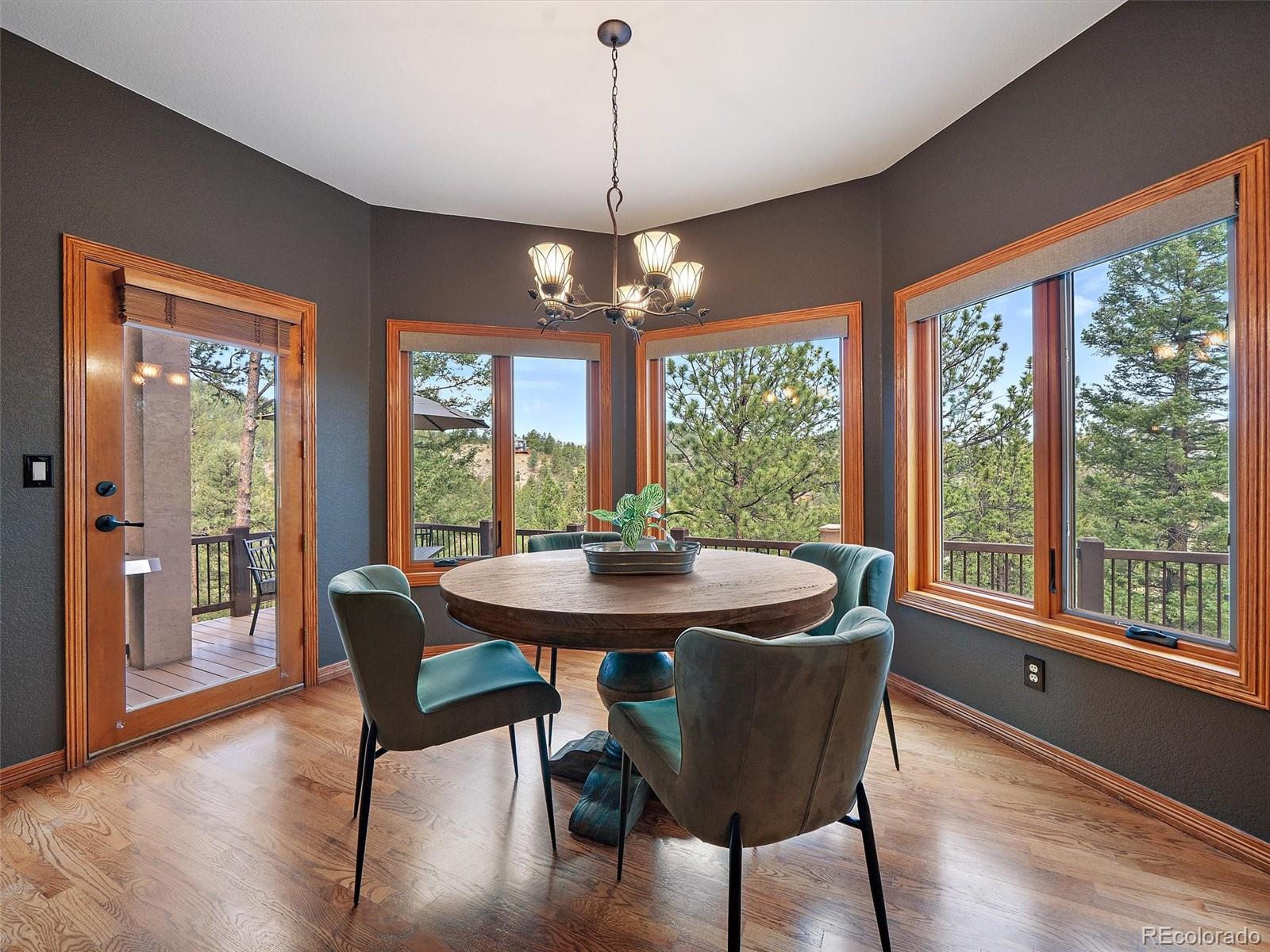 MLS Image #23 for 13695  may long court,pine, Colorado