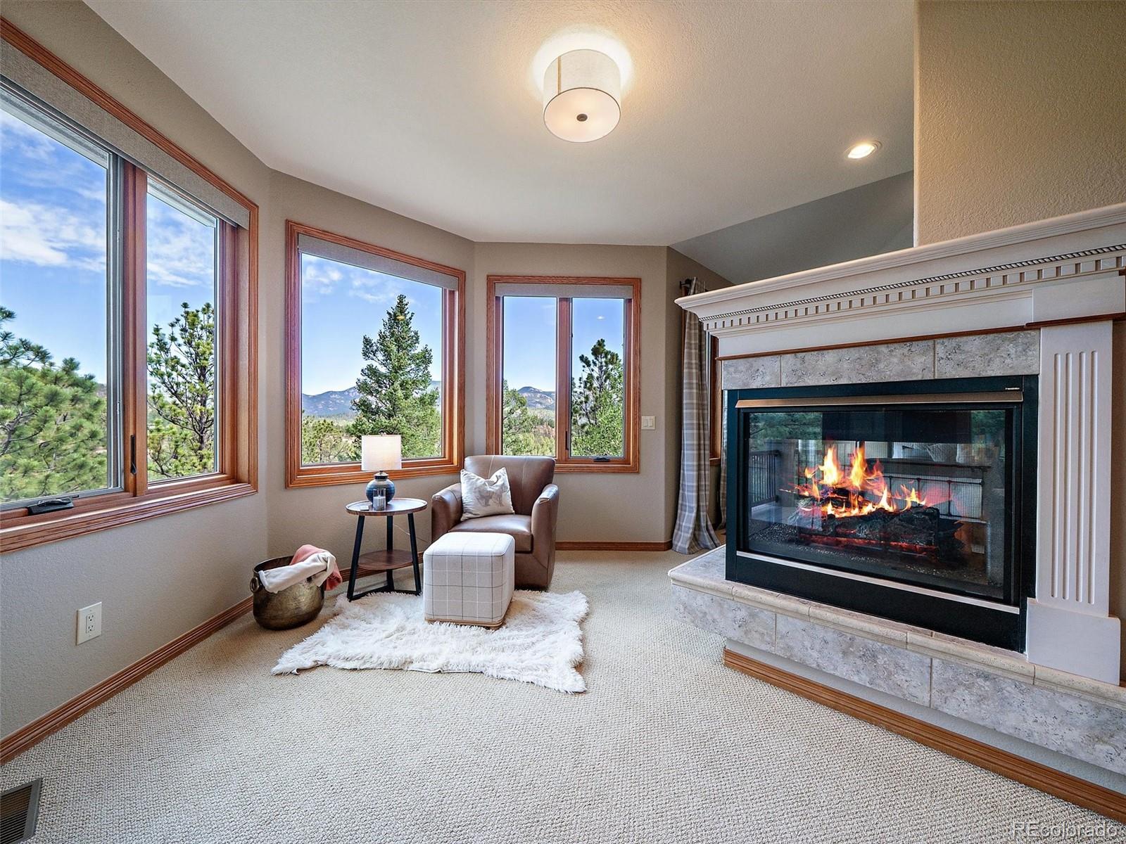 MLS Image #27 for 13695  may long court,pine, Colorado