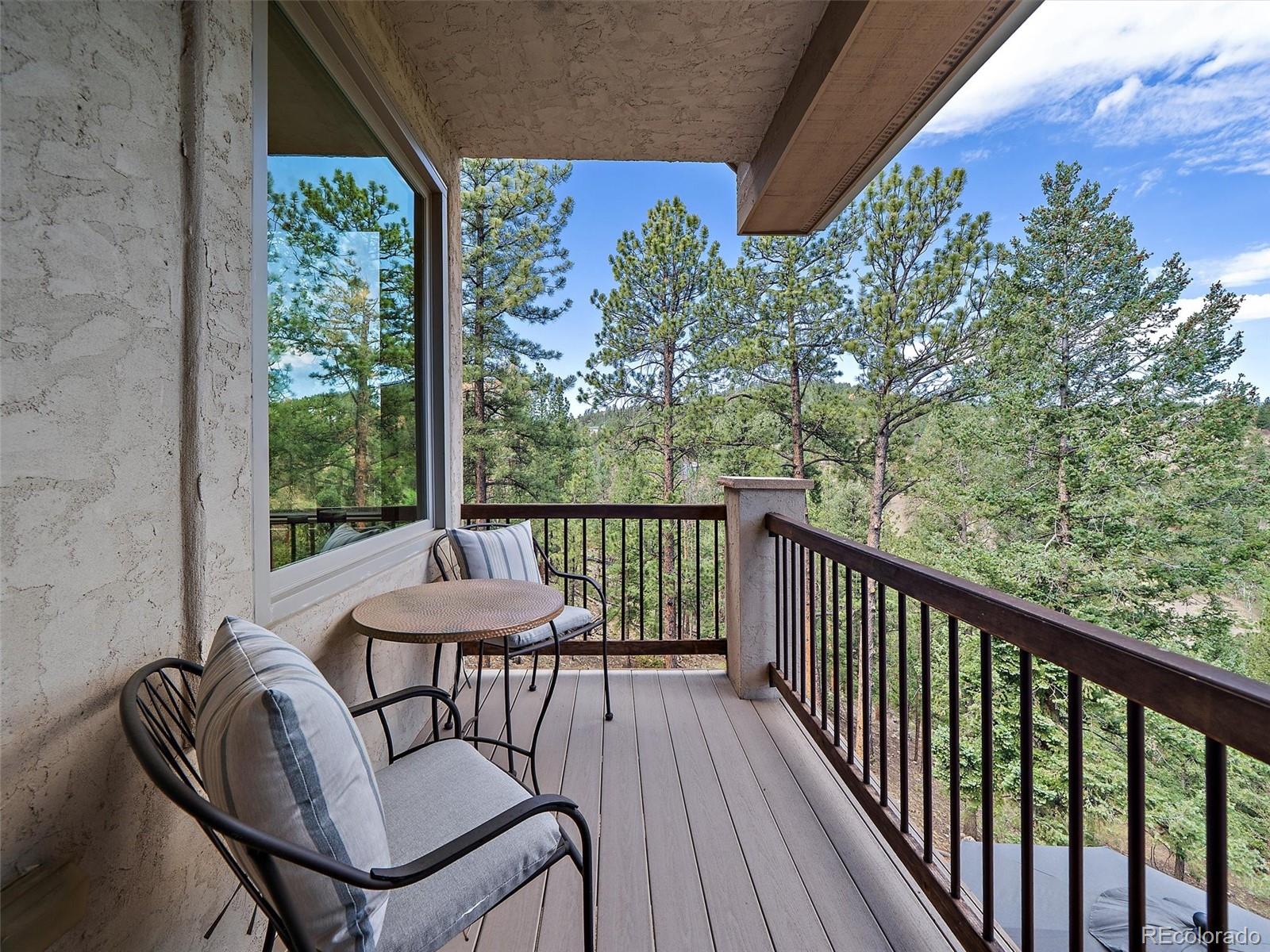 MLS Image #28 for 13695  may long court,pine, Colorado