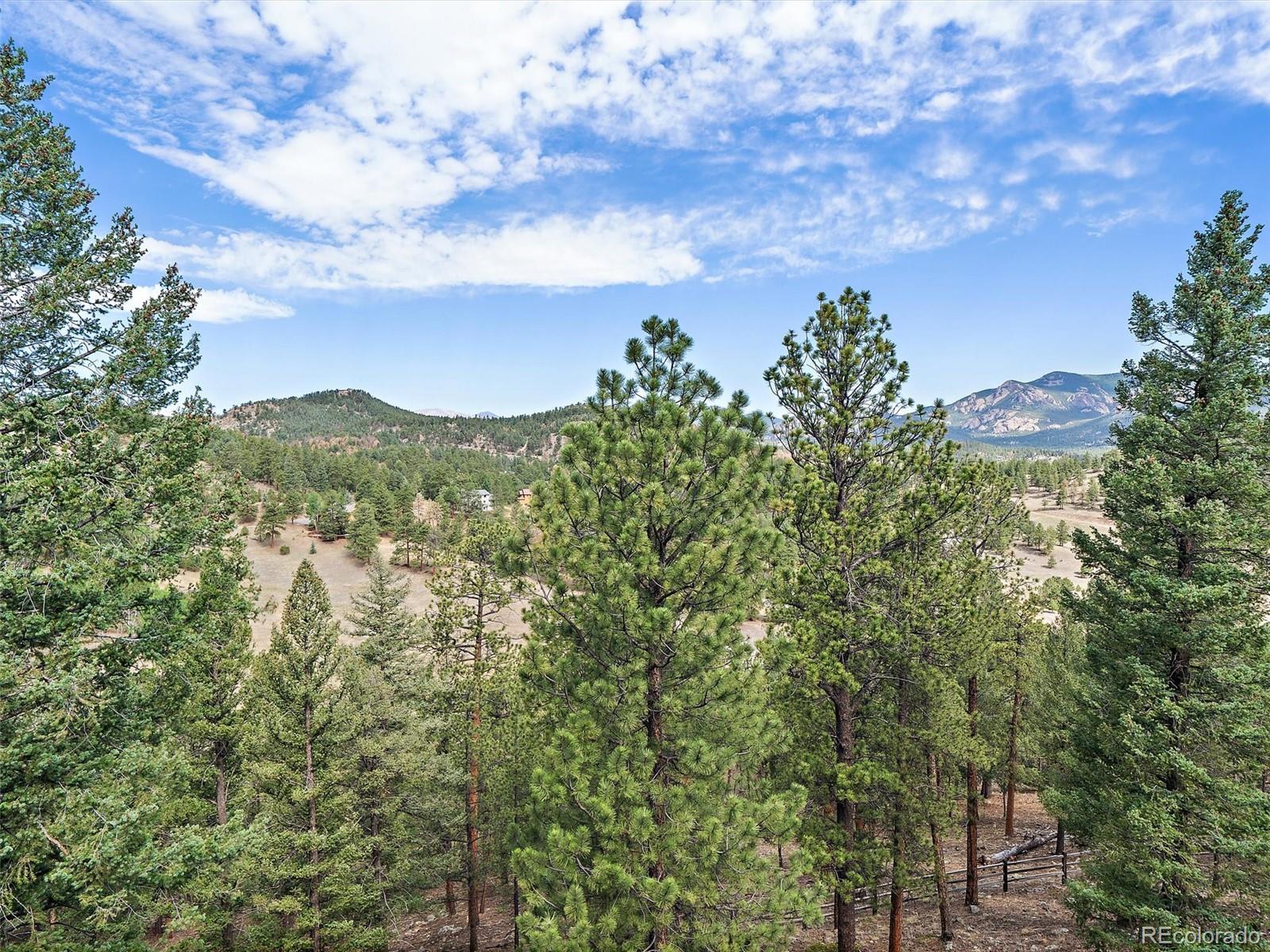 MLS Image #39 for 13695  may long court,pine, Colorado