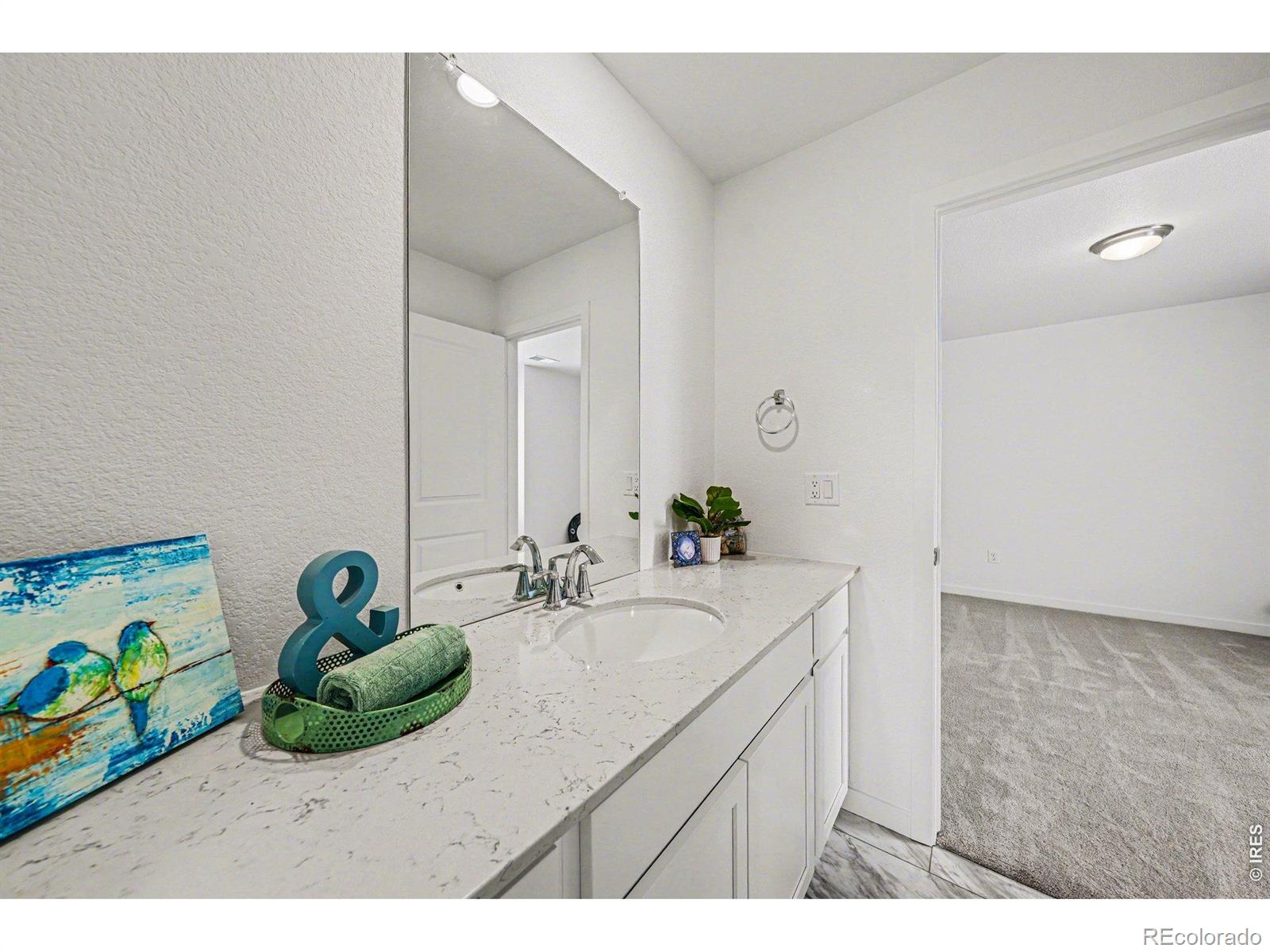 MLS Image #23 for 5548  runge court,timnath, Colorado