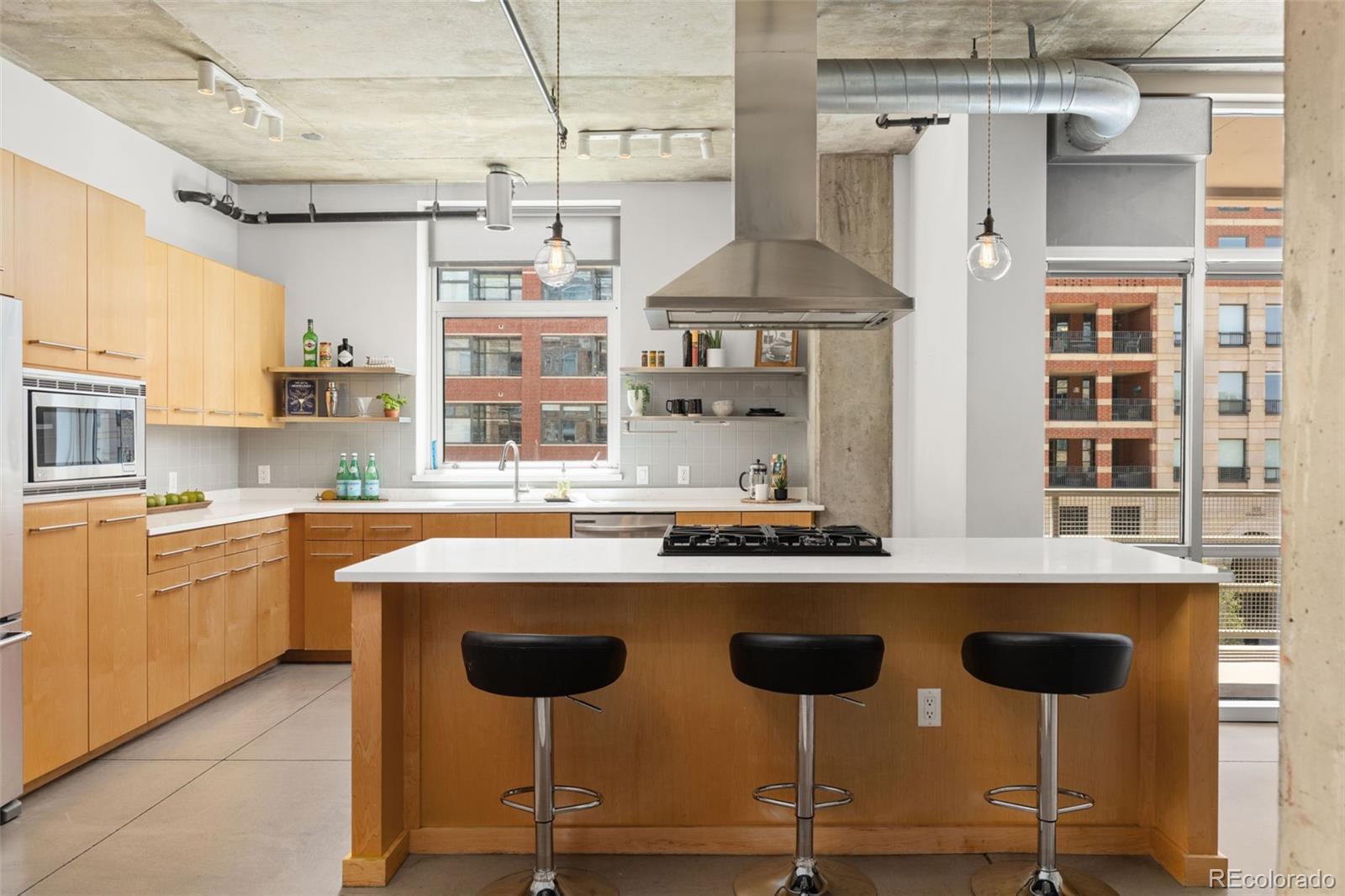 MLS Image #2 for 1610  little raven street 306,denver, Colorado