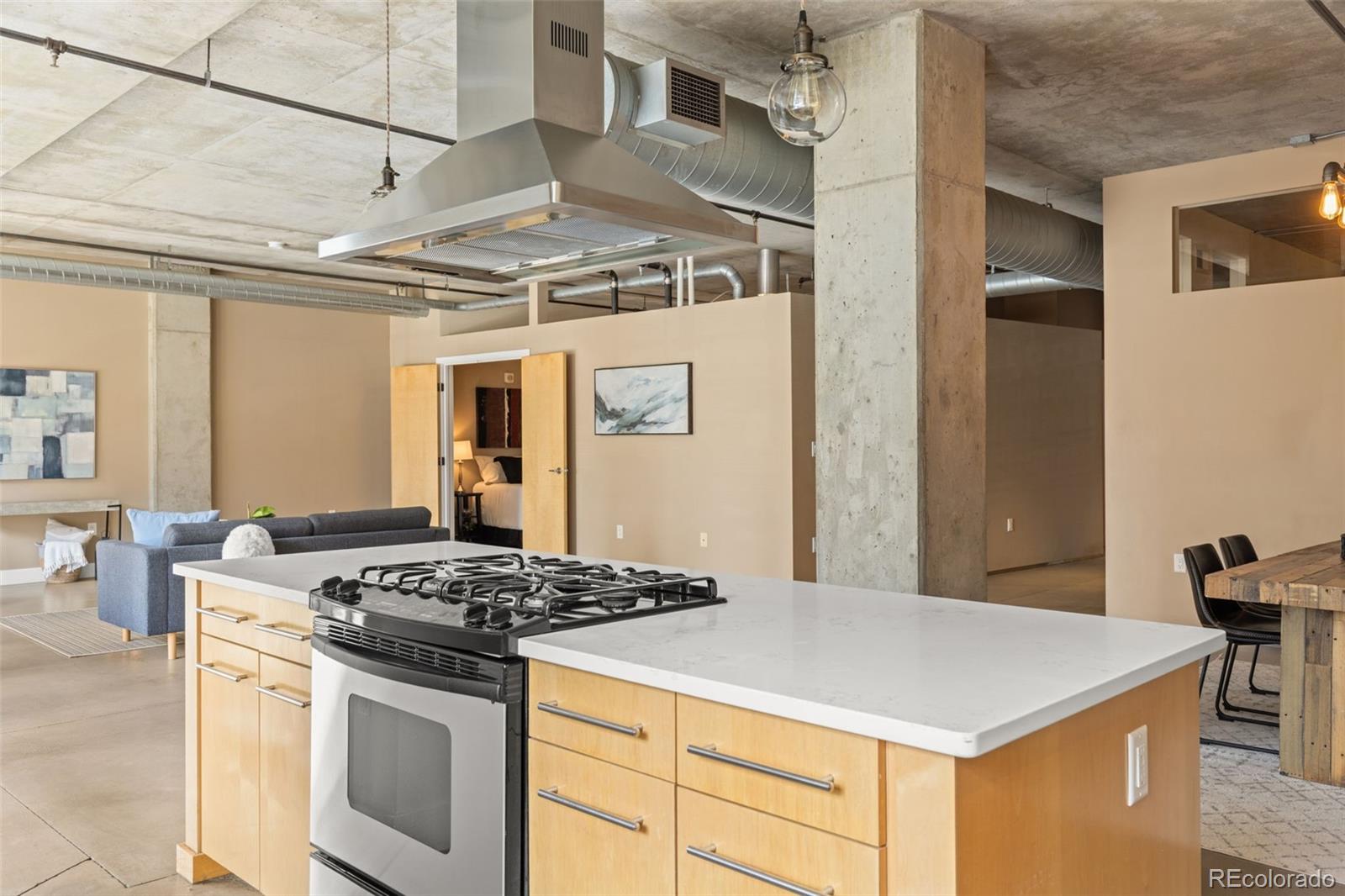 MLS Image #8 for 1610  little raven street 306,denver, Colorado