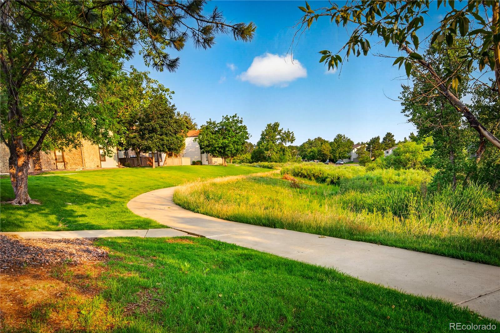 MLS Image #29 for 7820 w 87th drive,arvada, Colorado