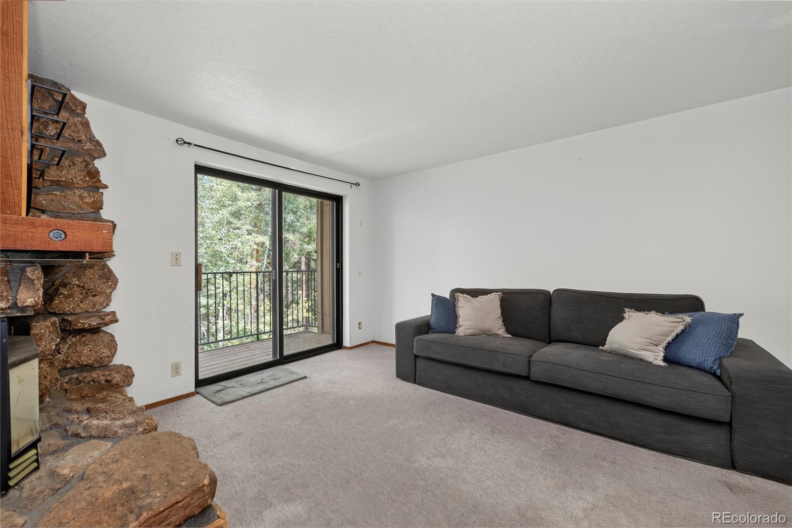 MLS Image #10 for 214  gcr 702/village dr ,winter park, Colorado