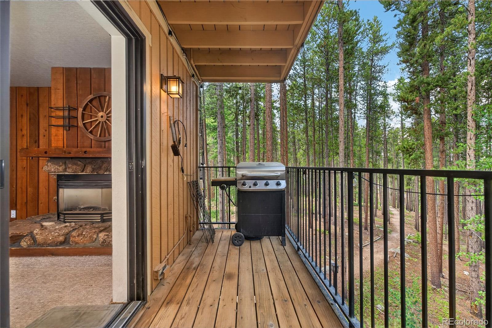 MLS Image #14 for 214  gcr 702/village dr ,winter park, Colorado