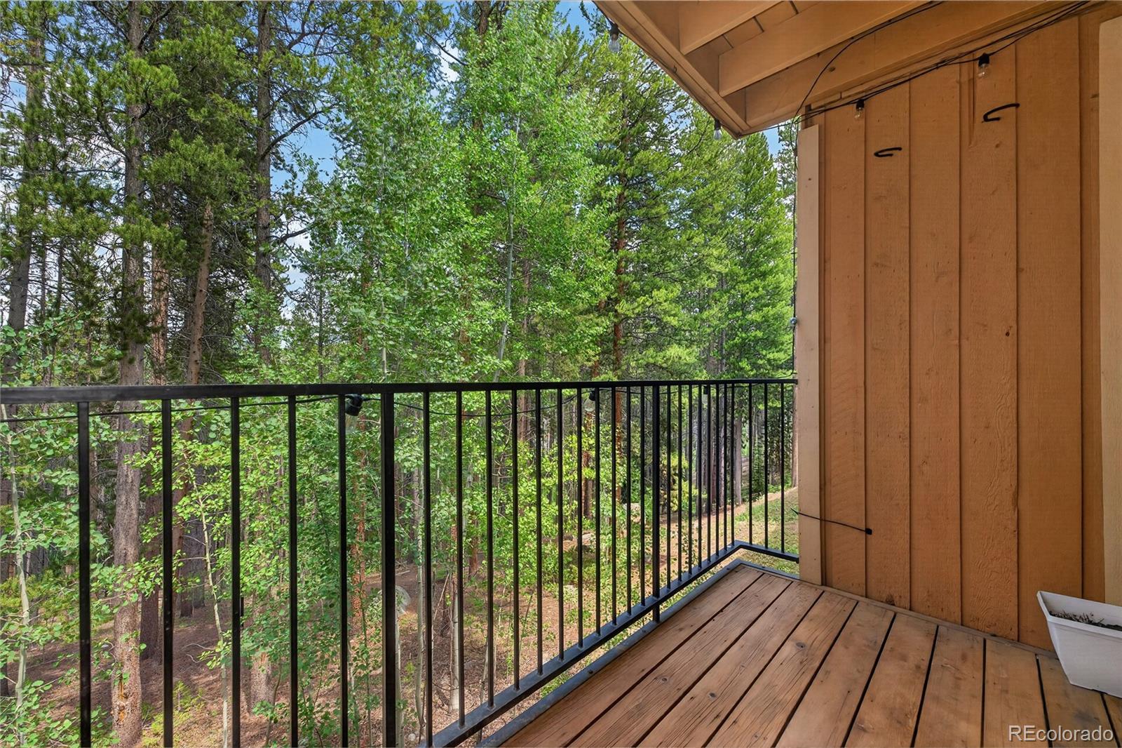MLS Image #15 for 214  gcr 702/village dr ,winter park, Colorado