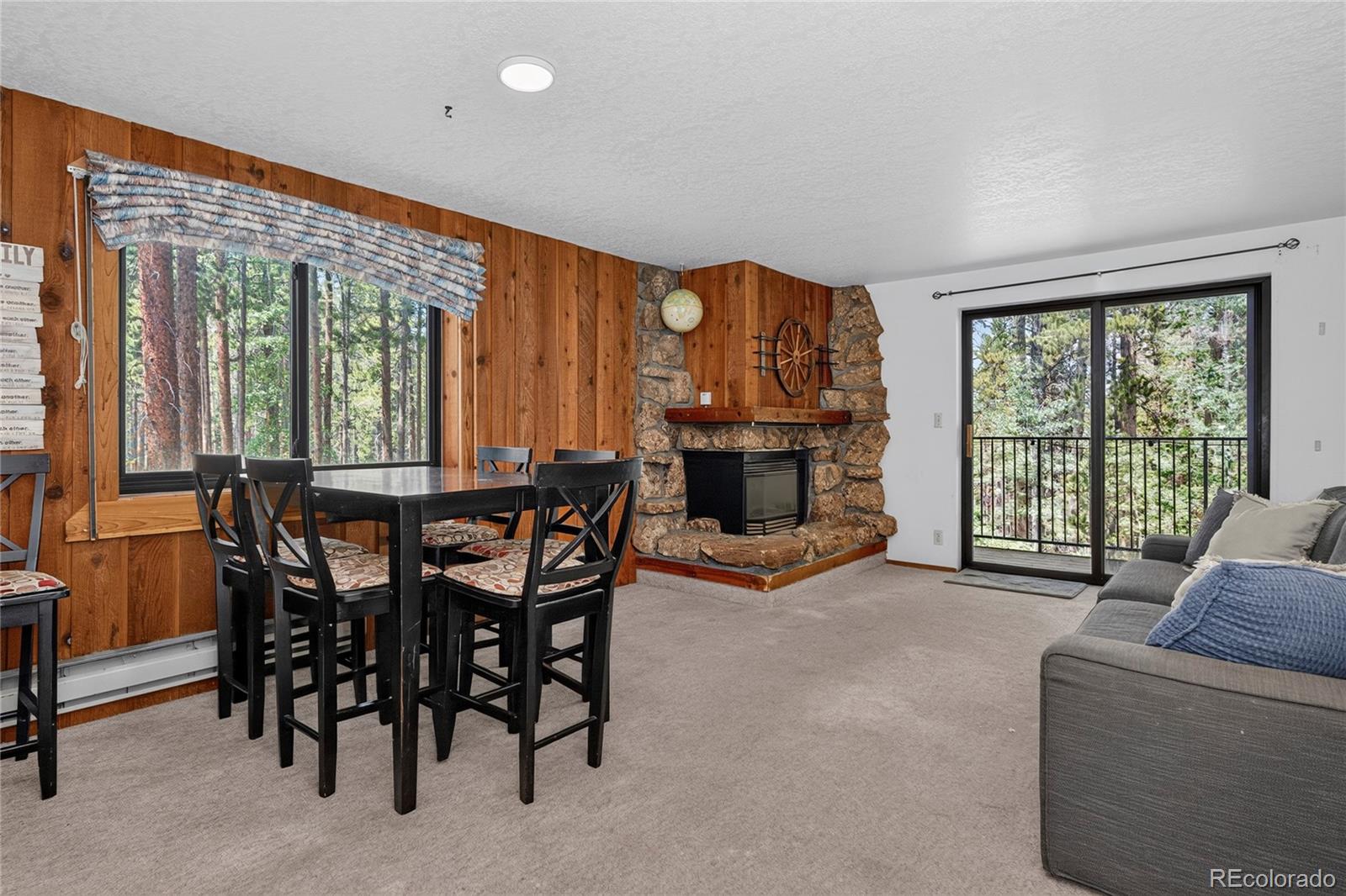 MLS Image #9 for 214  gcr 702/village dr ,winter park, Colorado
