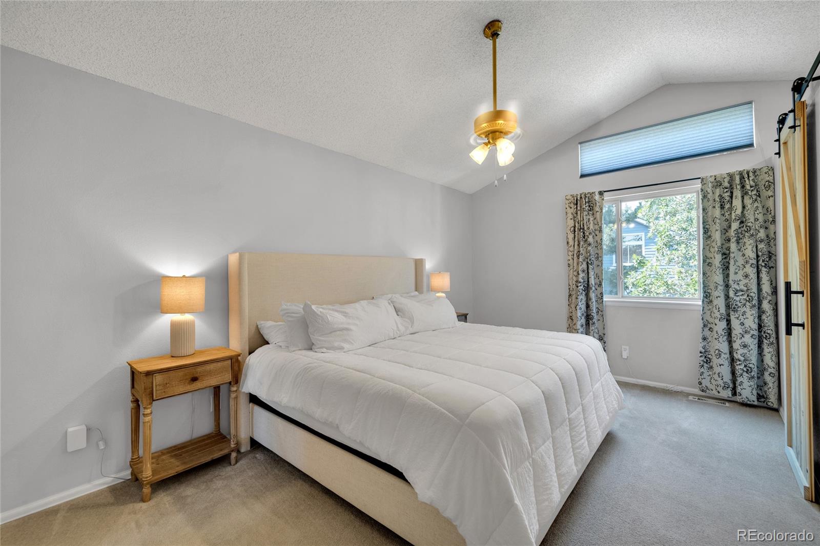 MLS Image #19 for 7531  dawn court,littleton, Colorado