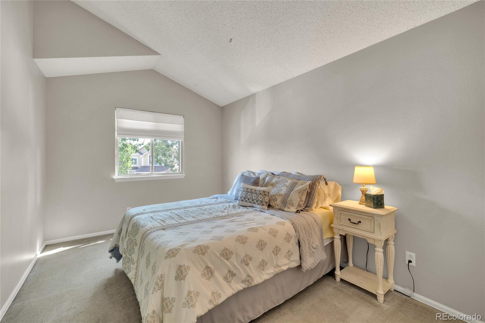 MLS Image #27 for 7531  dawn court,littleton, Colorado