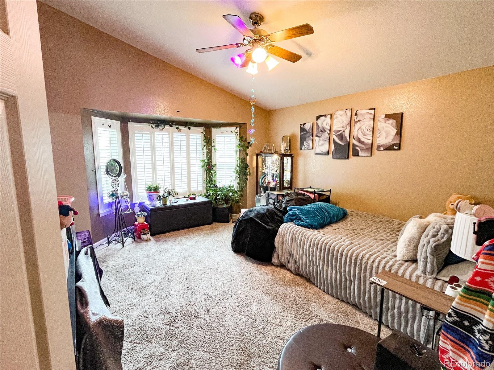 MLS Image #20 for 11867  meadowood lane,parker, Colorado