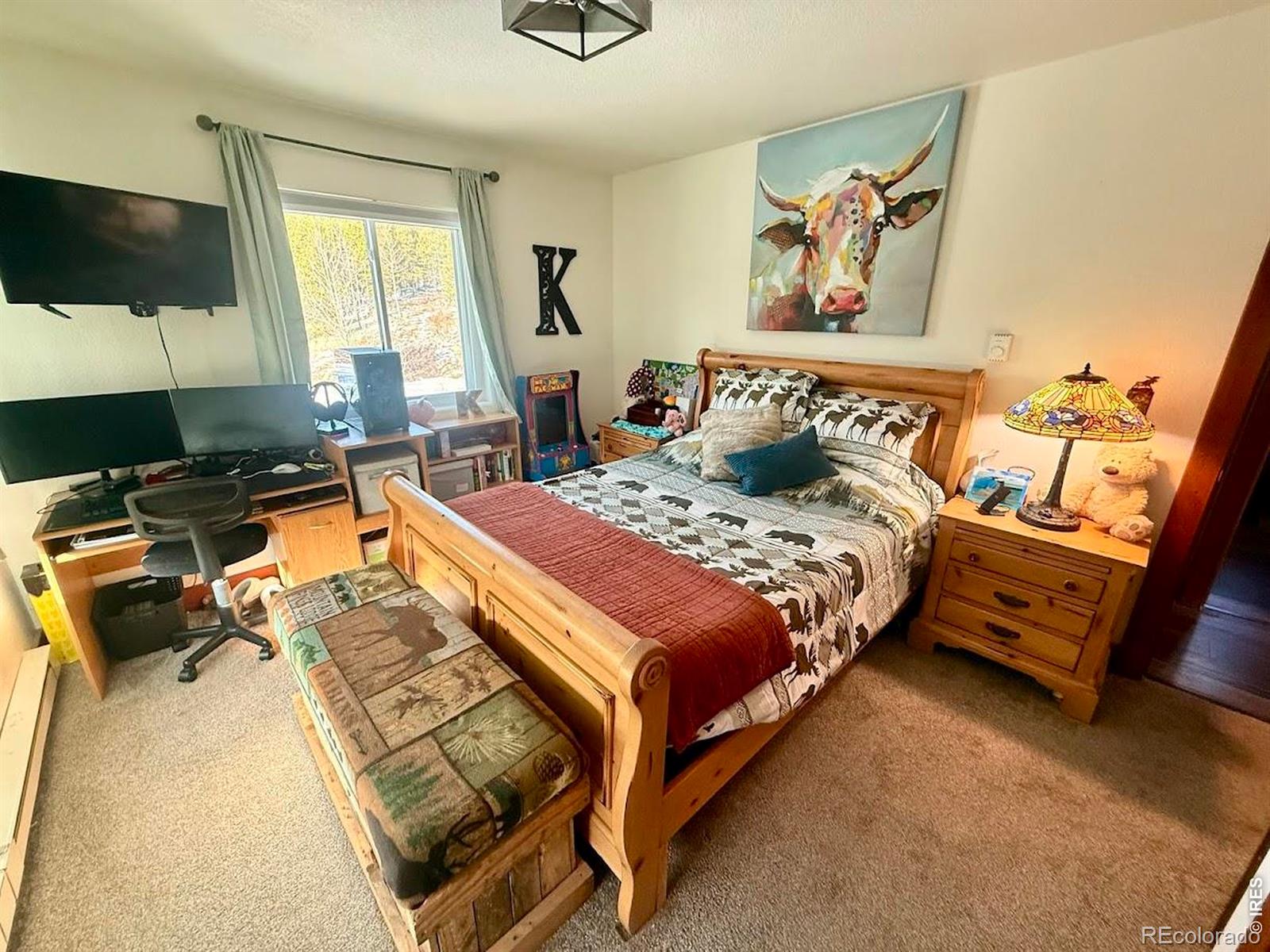 MLS Image #16 for 3689  ottawa way,red feather lakes, Colorado