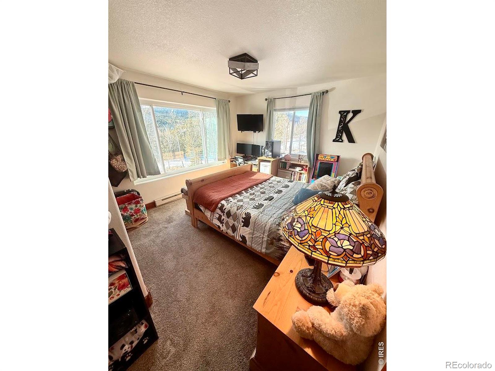 MLS Image #17 for 3689  ottawa way,red feather lakes, Colorado