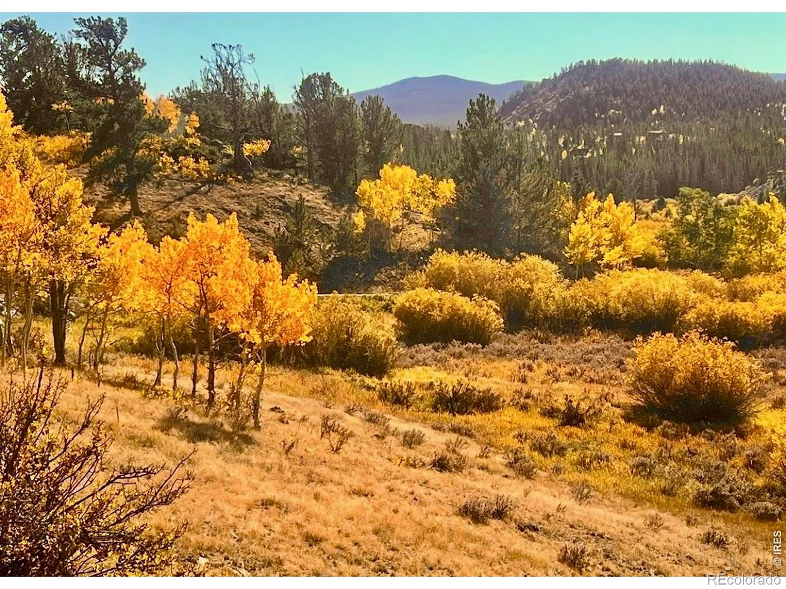 MLS Image #26 for 3689  ottawa way,red feather lakes, Colorado
