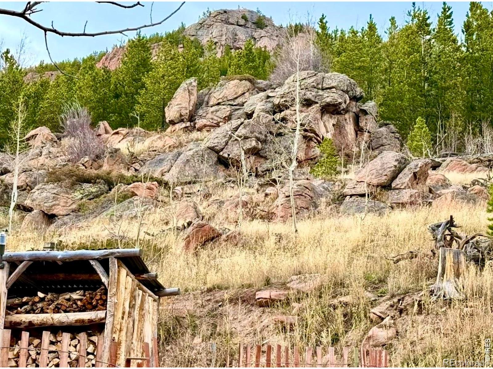 MLS Image #27 for 3689  ottawa way,red feather lakes, Colorado