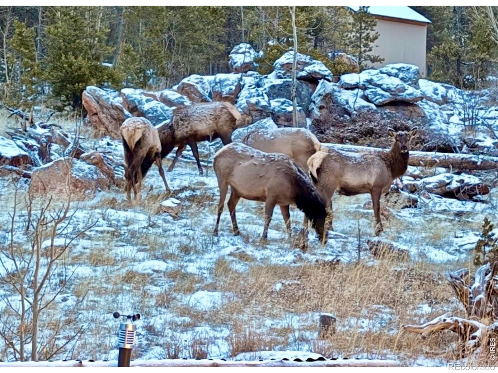 MLS Image #29 for 3689  ottawa way,red feather lakes, Colorado