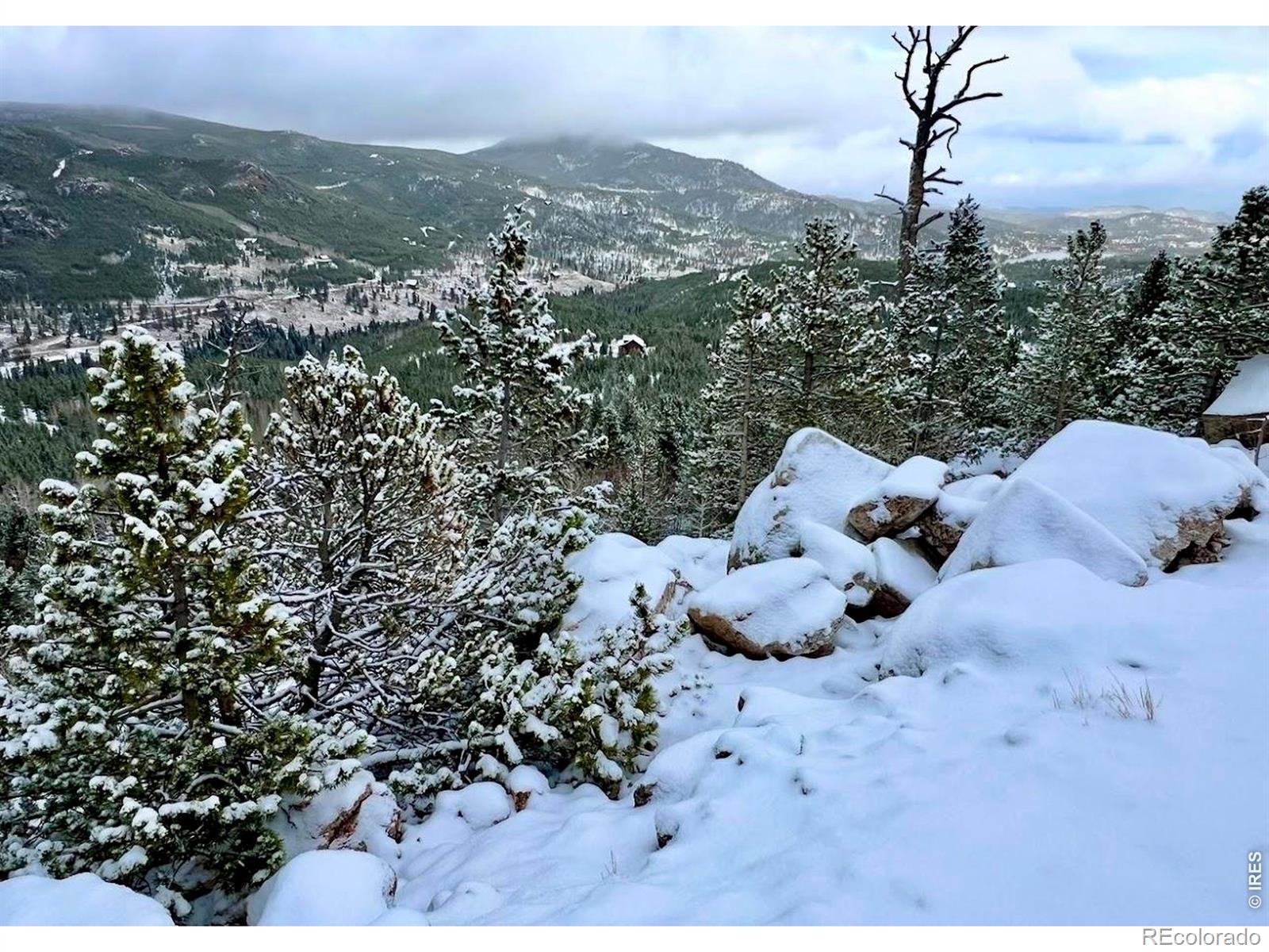 MLS Image #40 for 3689  ottawa way,red feather lakes, Colorado