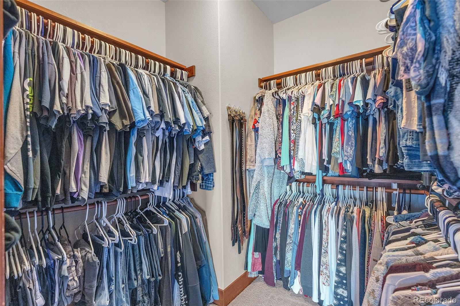 MLS Image #16 for 4166 s castlewood canyon road,castle rock, Colorado