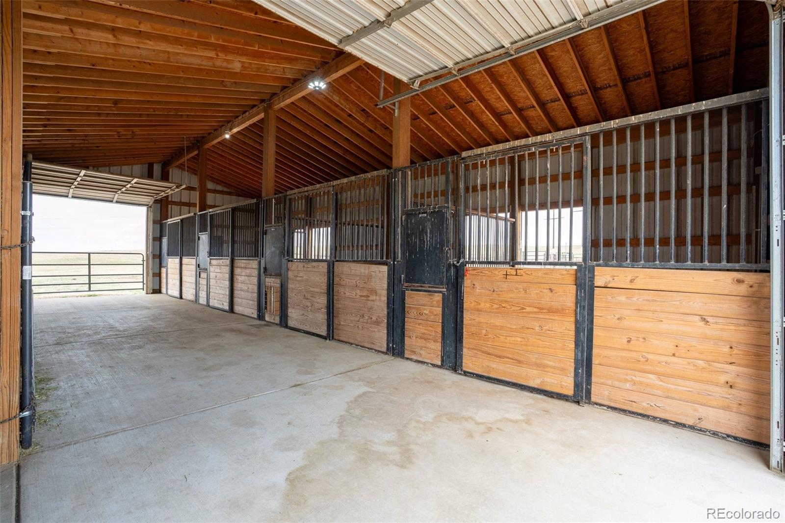 MLS Image #31 for 4166 s castlewood canyon road,castle rock, Colorado