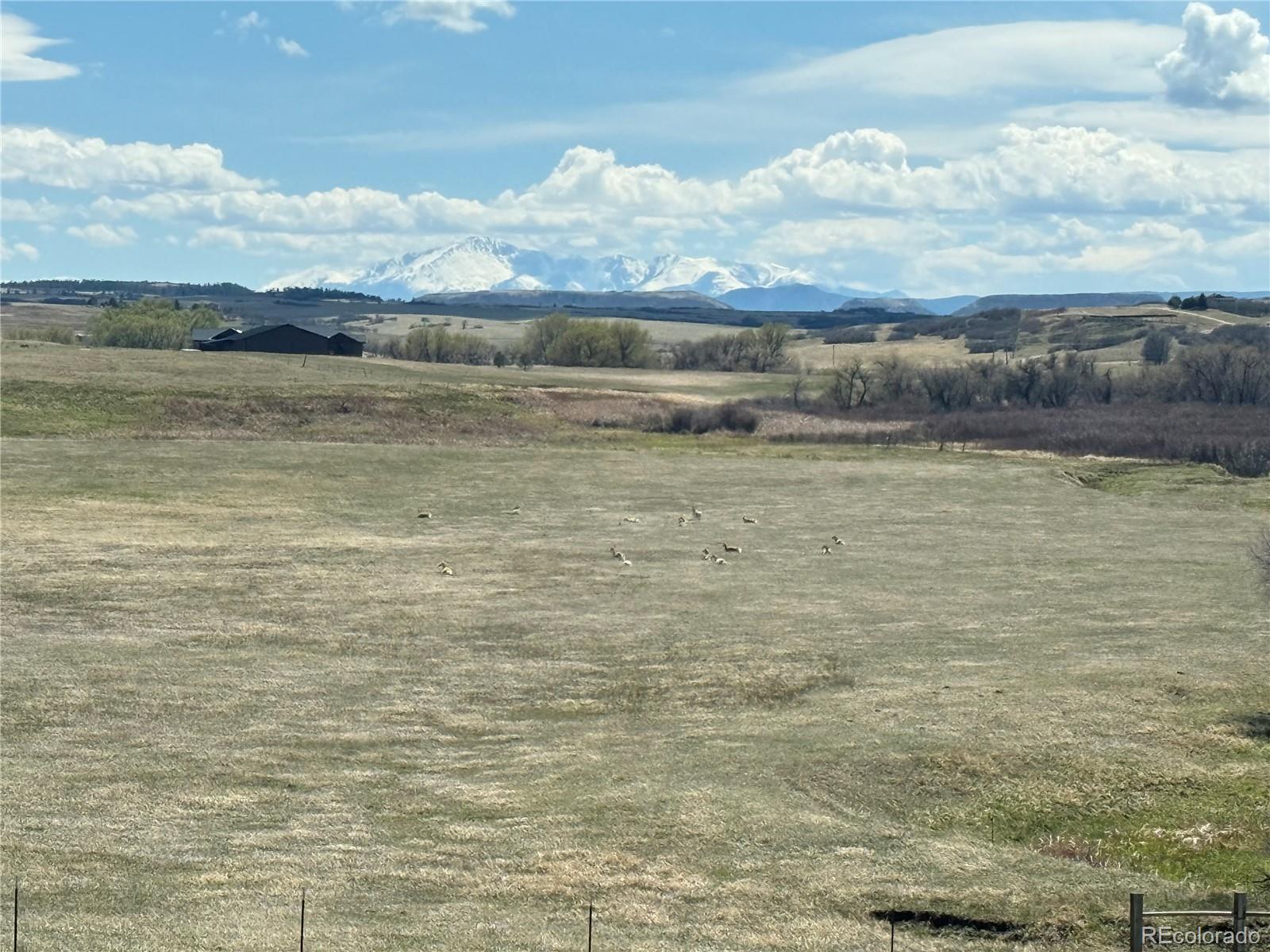 MLS Image #46 for 4166 s castlewood canyon road,castle rock, Colorado