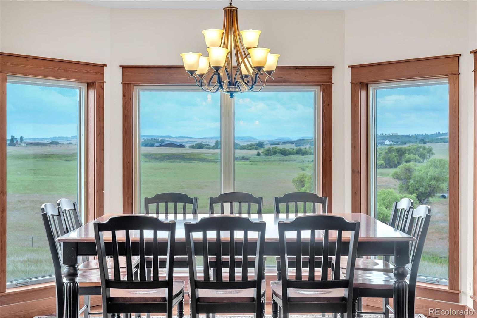MLS Image #9 for 4166 s castlewood canyon road,castle rock, Colorado