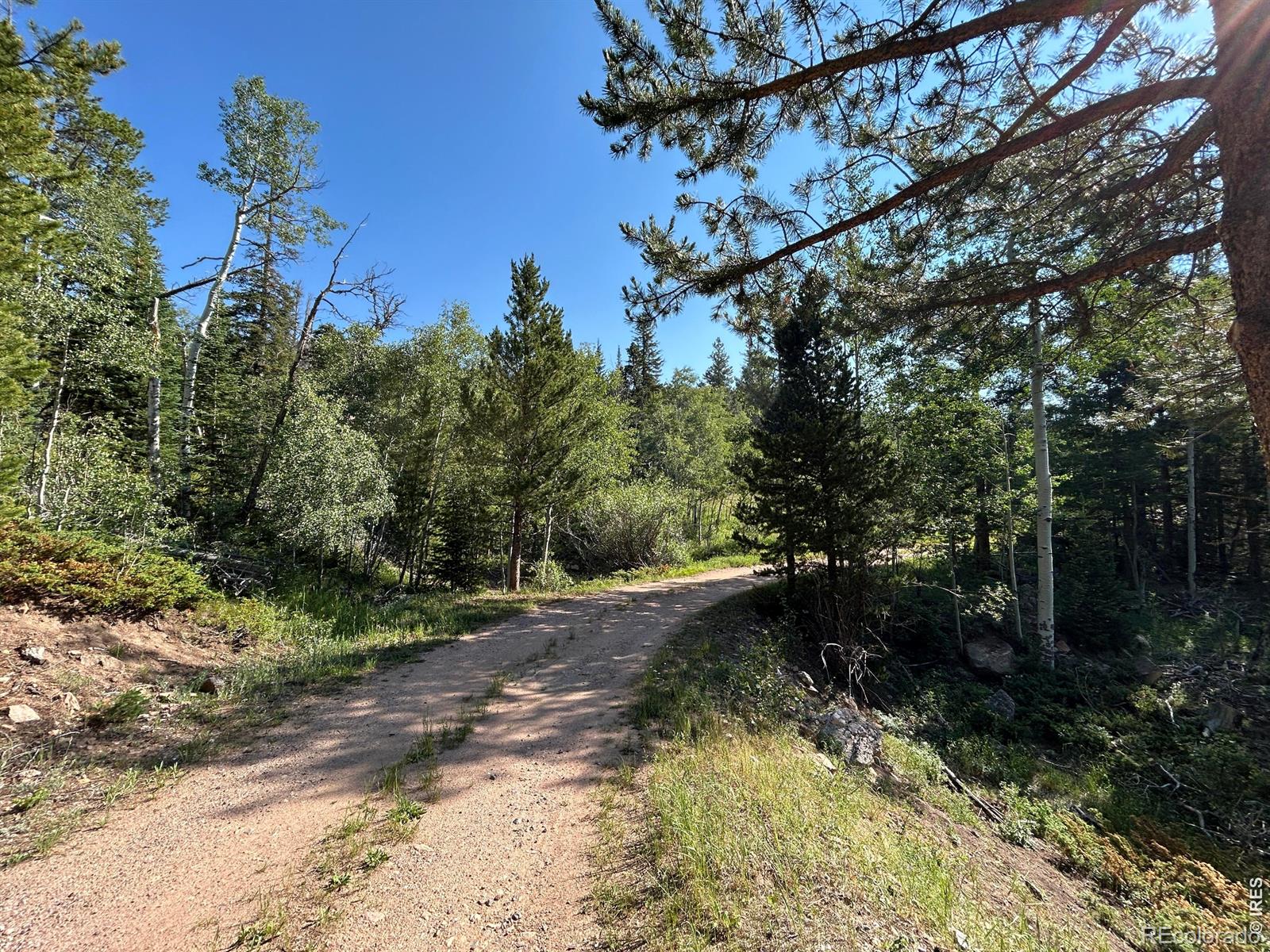 MLS Image #1 for 506  elkridge road,red feather lakes, Colorado
