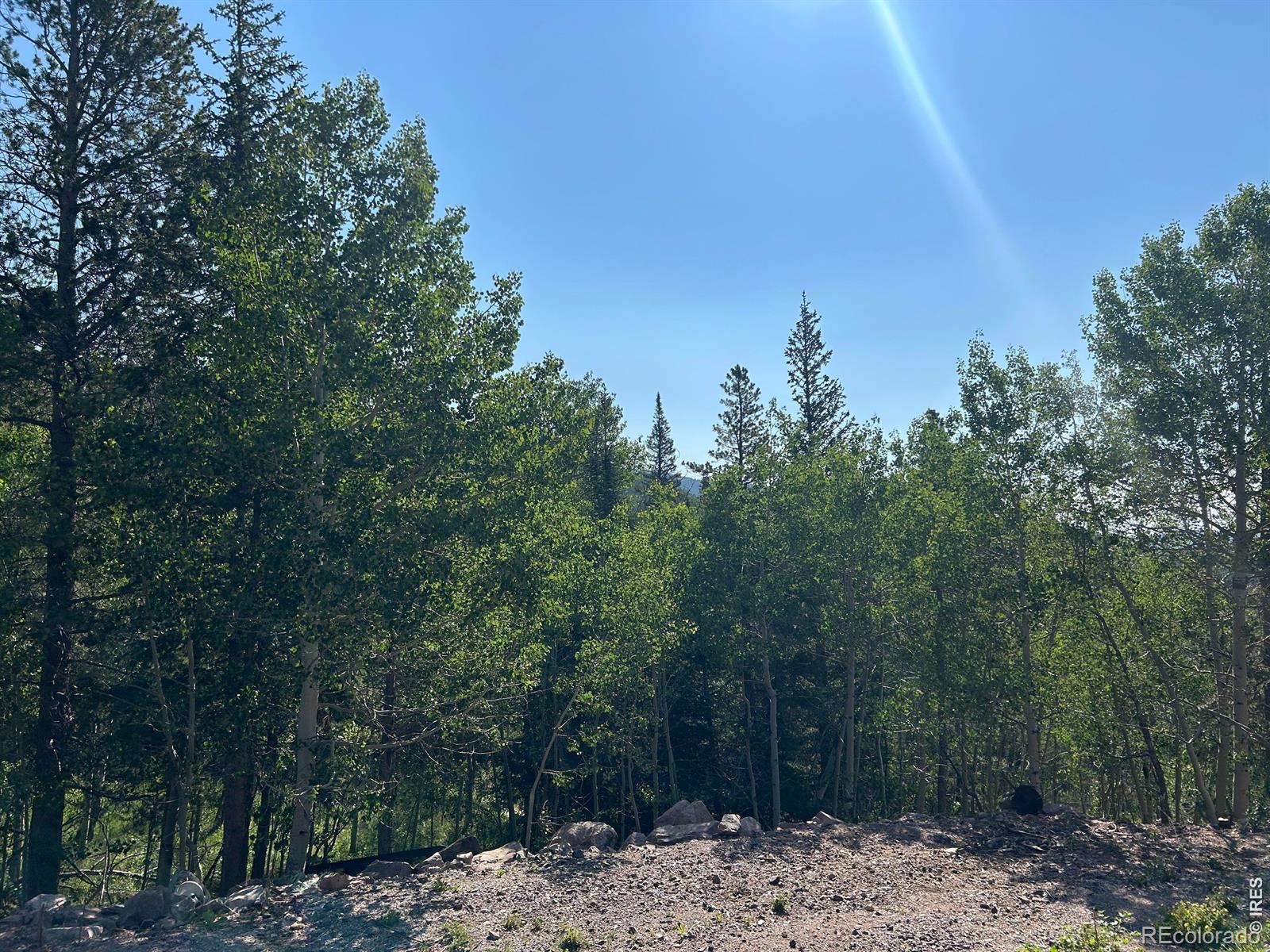 MLS Image #13 for 506  elkridge road,red feather lakes, Colorado