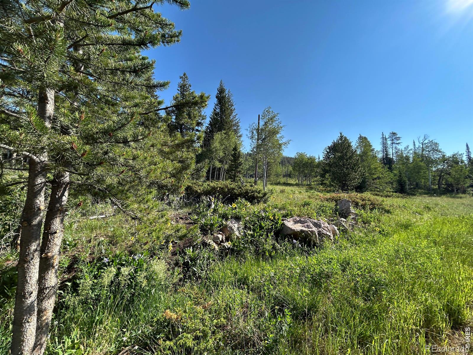 MLS Image #16 for 506  elkridge road,red feather lakes, Colorado