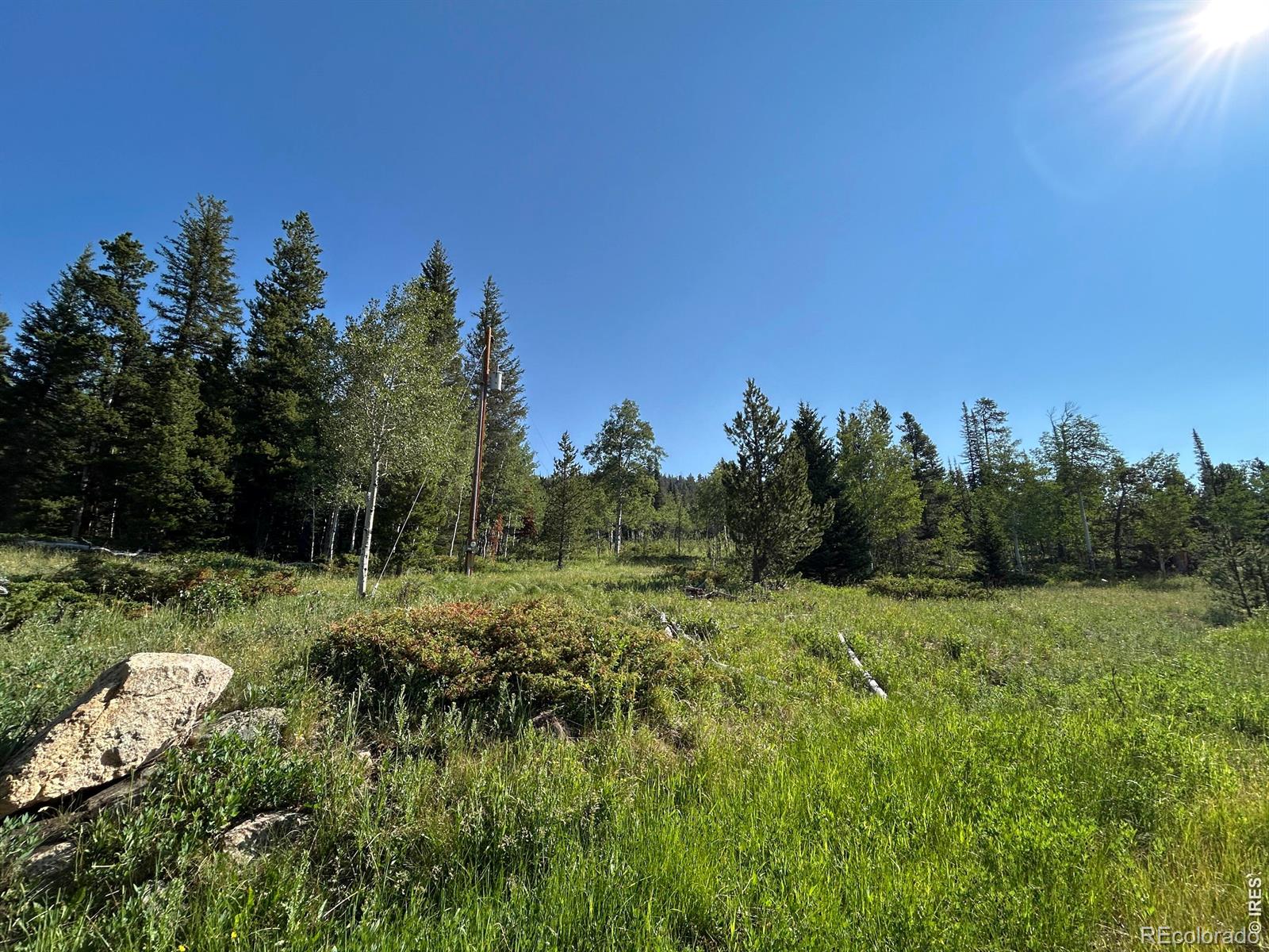 MLS Image #17 for 506  elkridge road,red feather lakes, Colorado