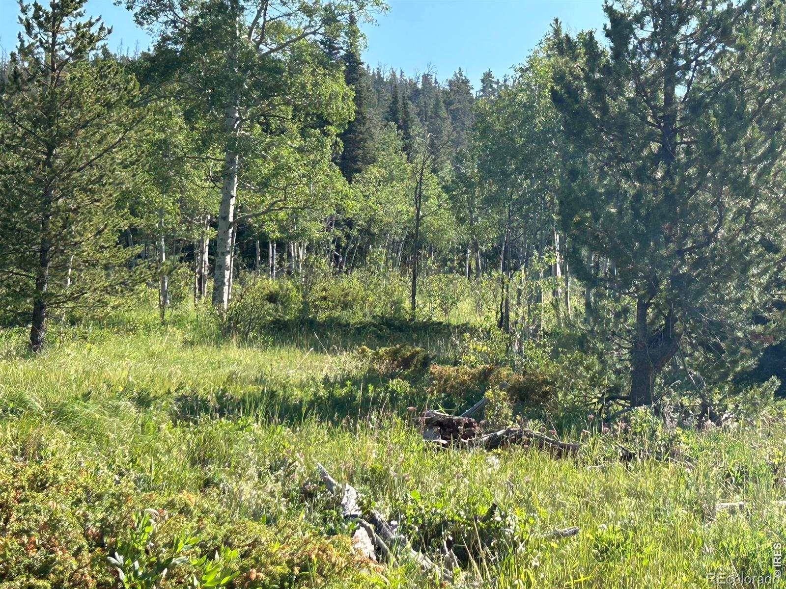 MLS Image #18 for 506  elkridge road,red feather lakes, Colorado