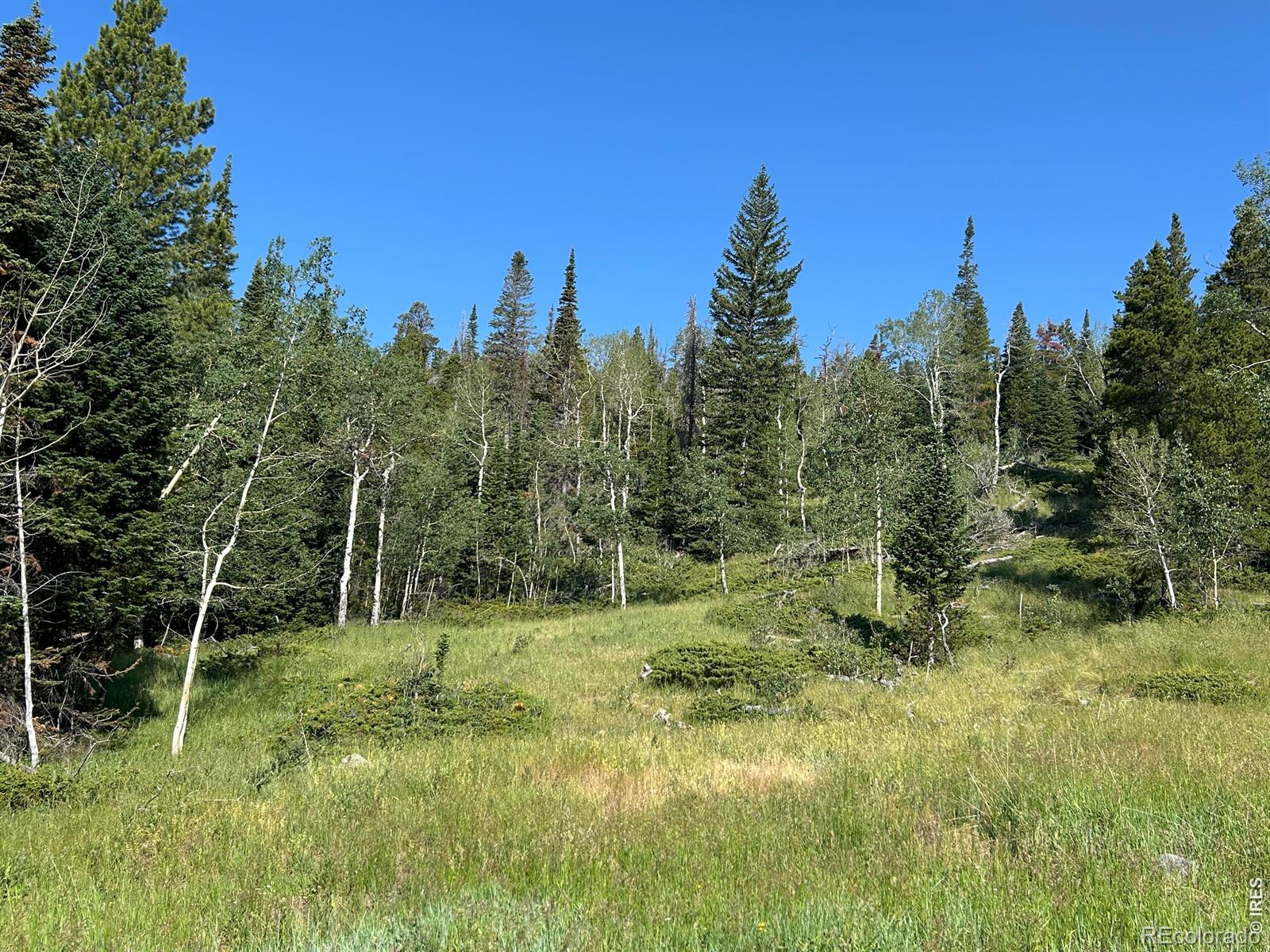 MLS Image #19 for 506  elkridge road,red feather lakes, Colorado