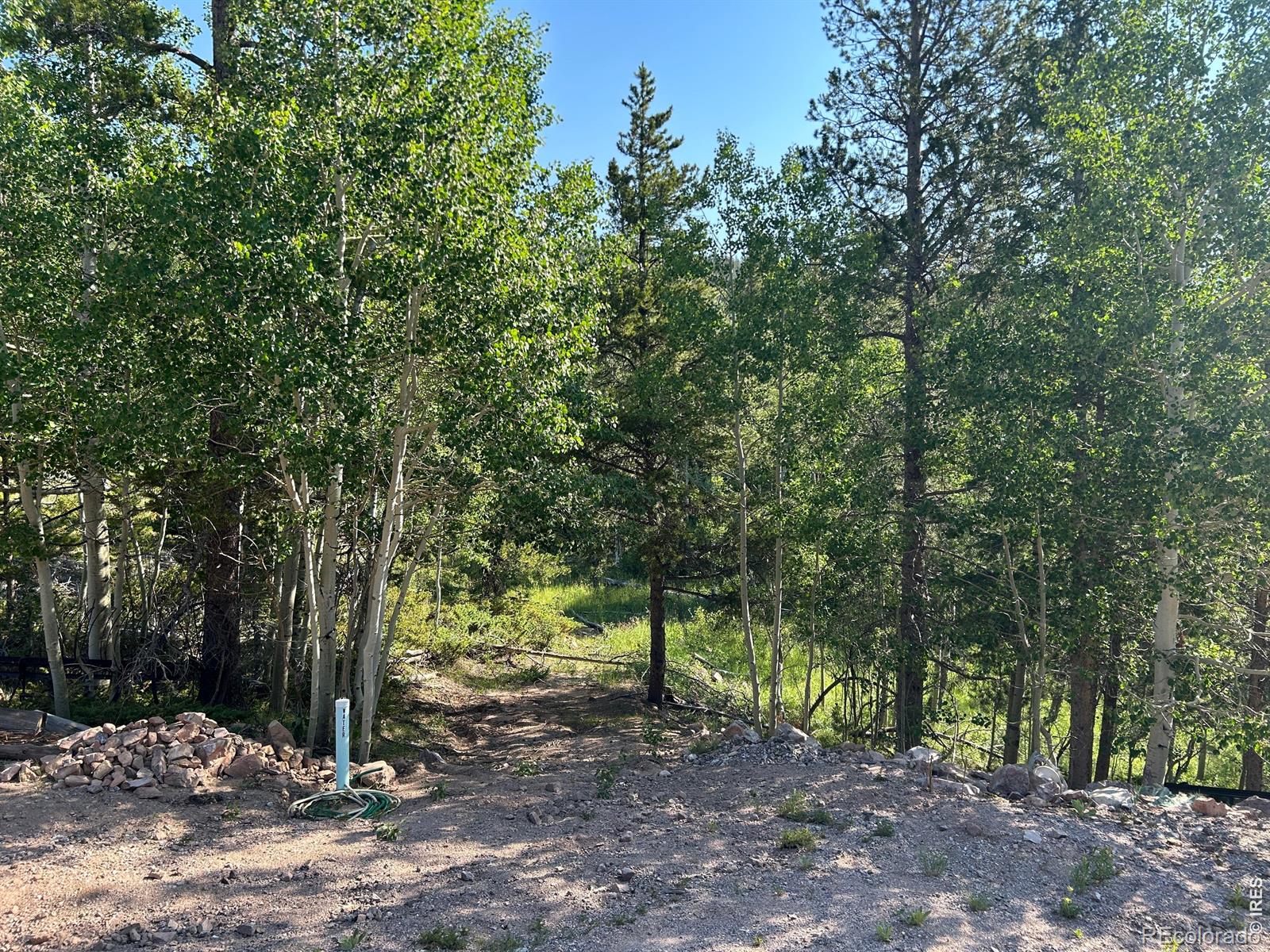 MLS Image #2 for 506  elkridge road,red feather lakes, Colorado