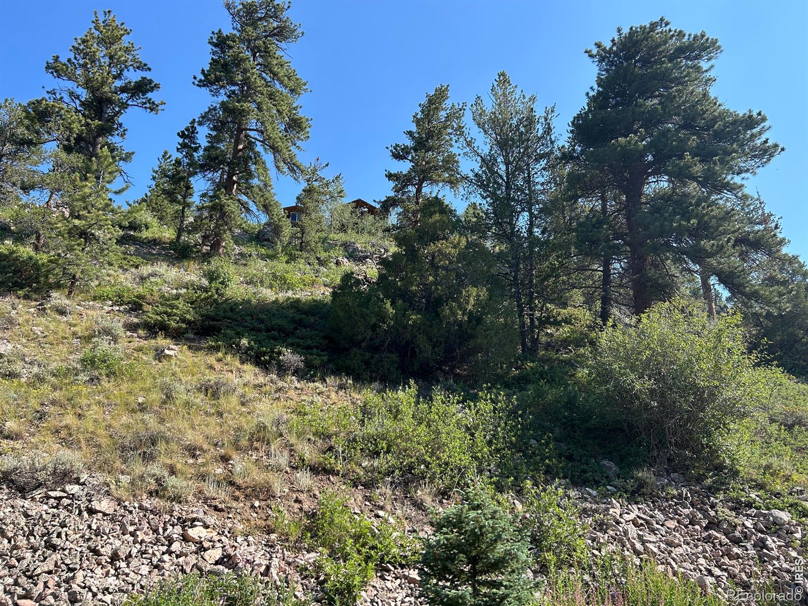 MLS Image #21 for 506  elkridge road,red feather lakes, Colorado