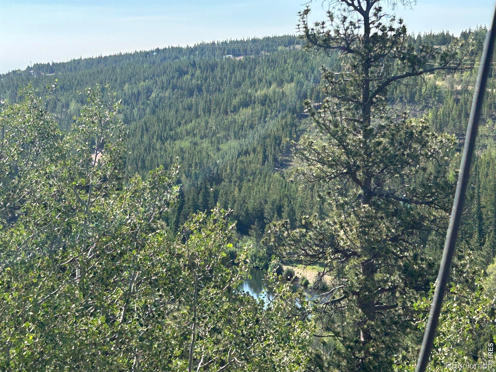 MLS Image #4 for 506  elkridge road,red feather lakes, Colorado