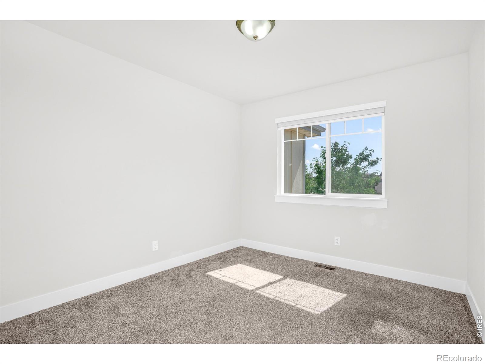 MLS Image #5 for 1279  baker pass street,severance, Colorado