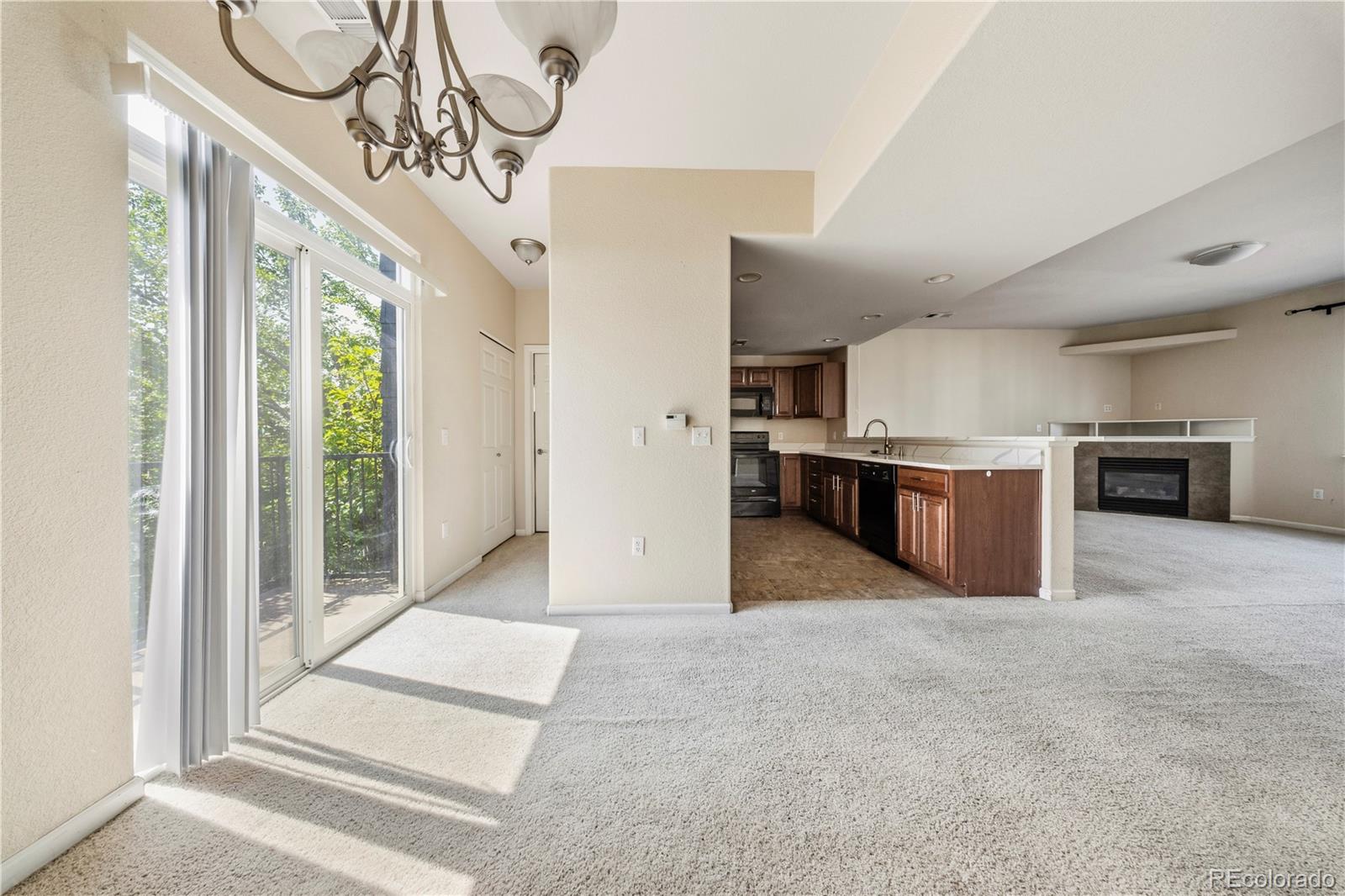 MLS Image #4 for 8751  pearl street,denver, Colorado