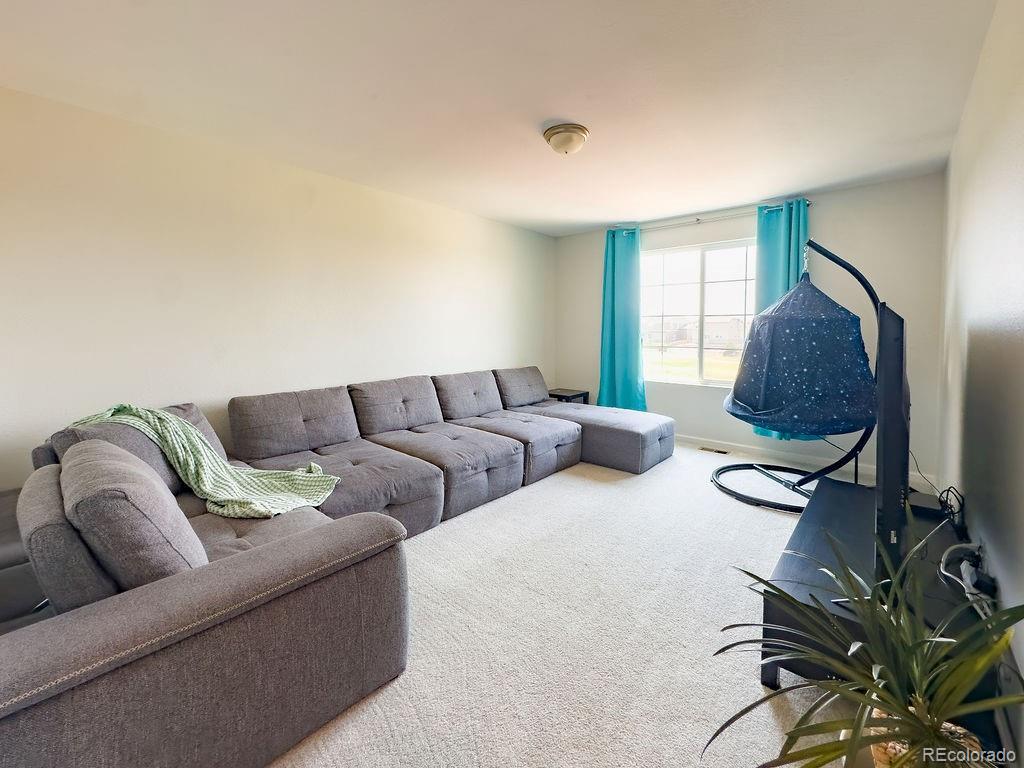 MLS Image #14 for 16478 e 111th place,commerce city, Colorado
