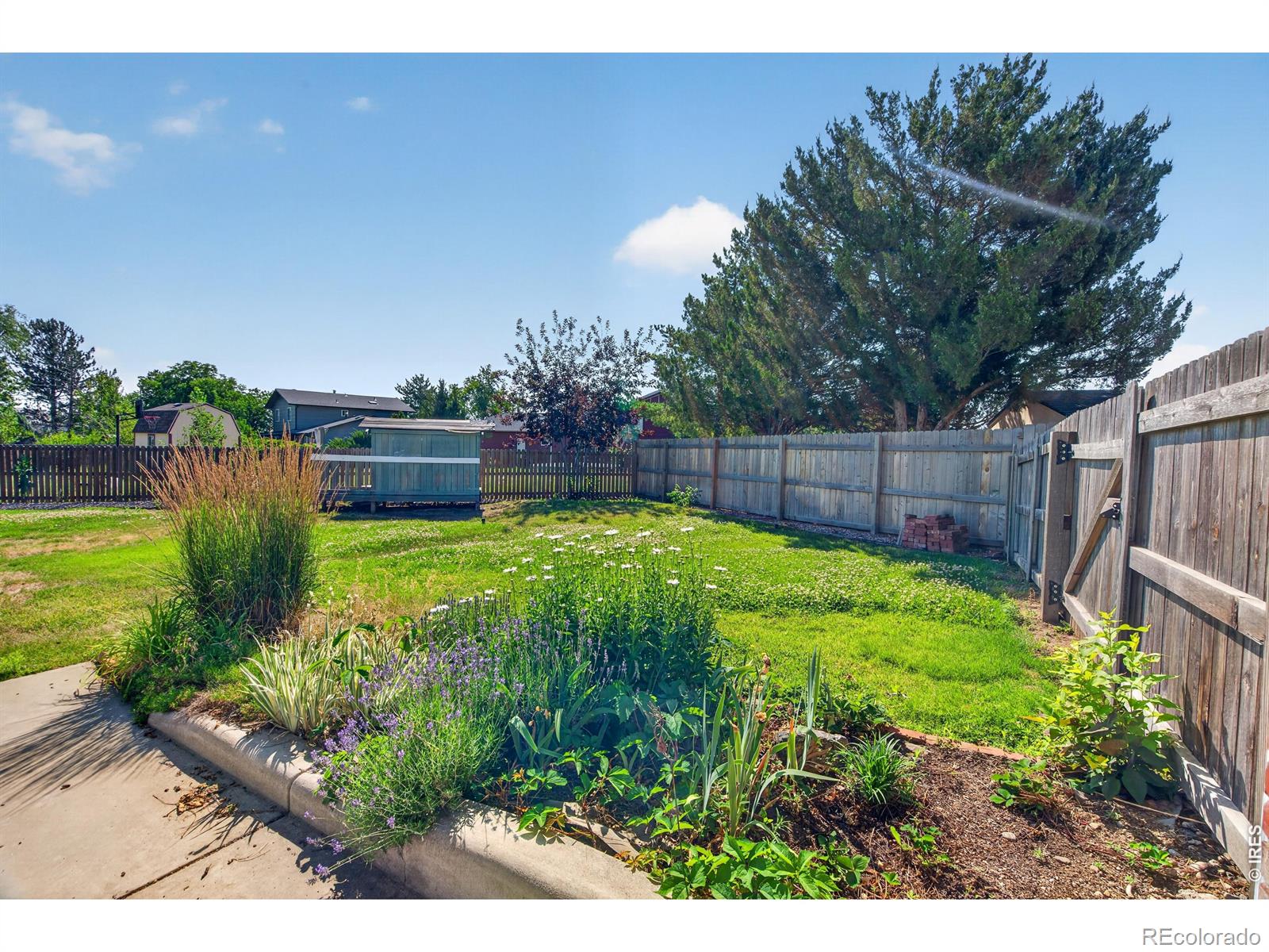 MLS Image #5 for 4608  mountain view court,loveland, Colorado