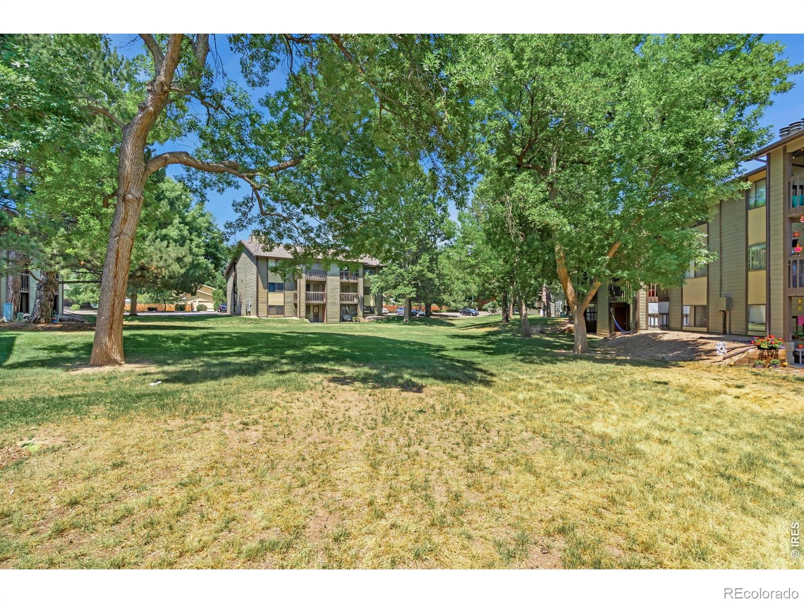 MLS Image #17 for 925  columbia road,fort collins, Colorado