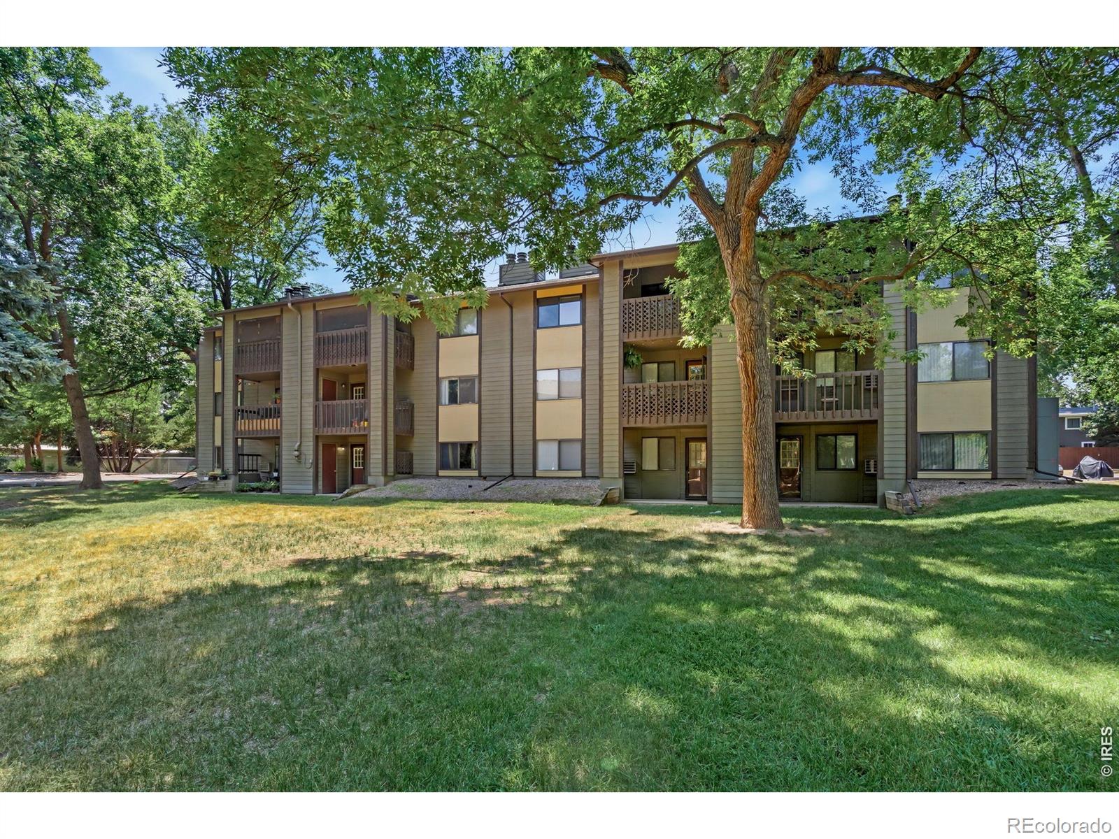 MLS Image #18 for 925  columbia road,fort collins, Colorado