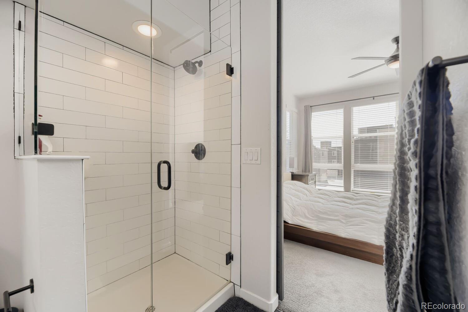 MLS Image #10 for 3530  corsica way,castle rock, Colorado