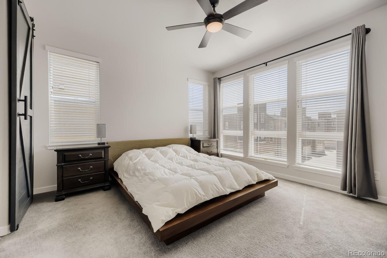 MLS Image #8 for 3530  corsica way,castle rock, Colorado