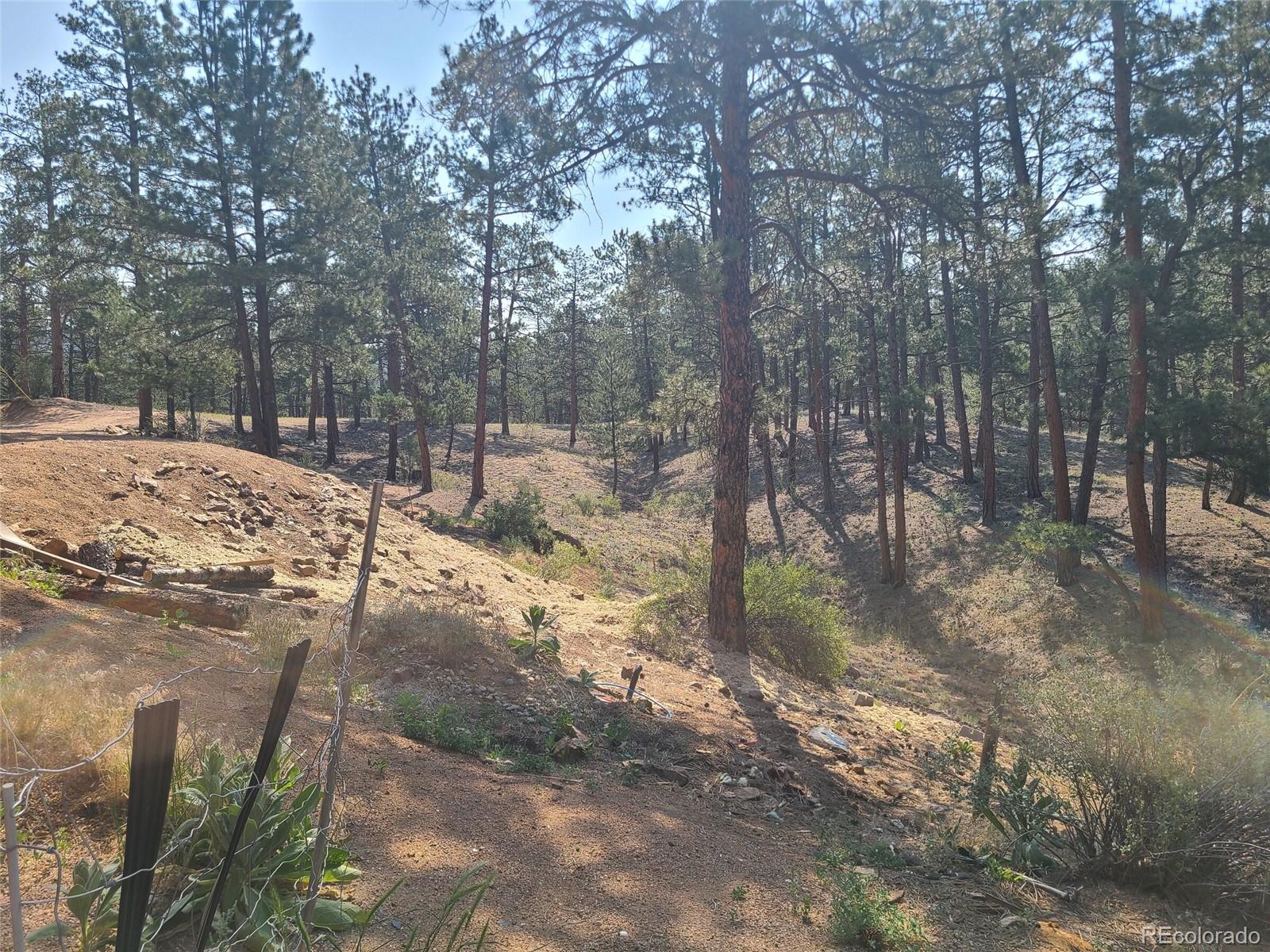MLS Image #25 for 23721  summit street,pine, Colorado