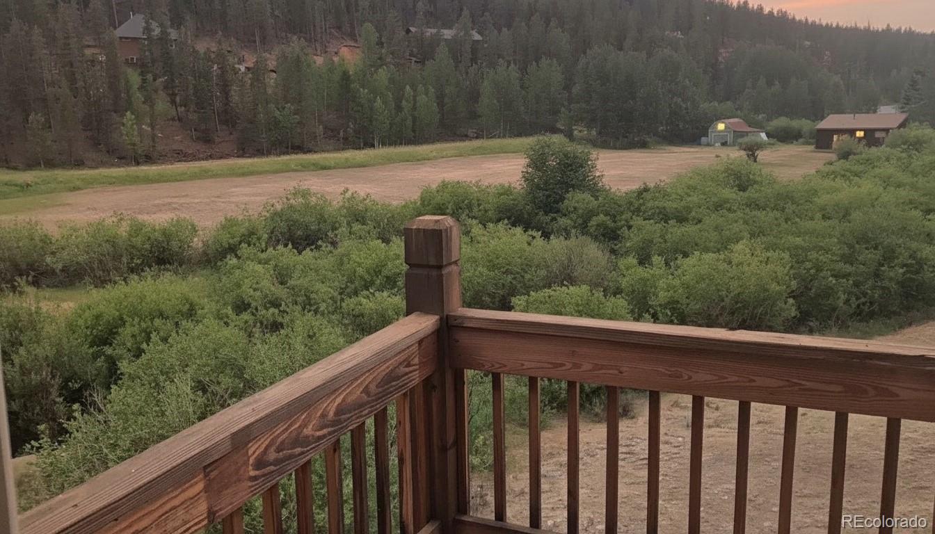 MLS Image #10 for 606 n random road,bailey, Colorado
