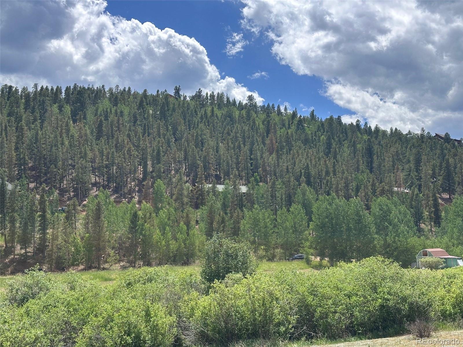 MLS Image #15 for 606 n random road,bailey, Colorado