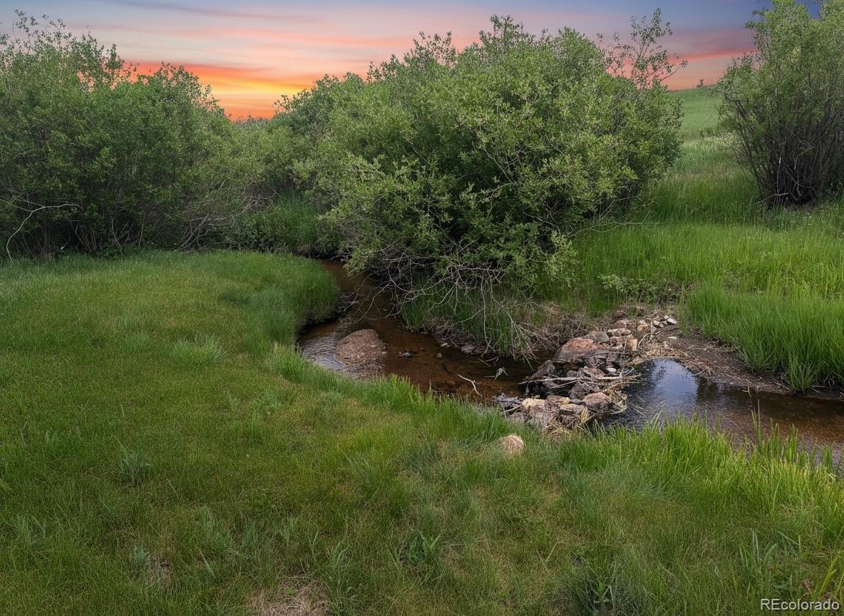 MLS Image #16 for 606 n random road,bailey, Colorado