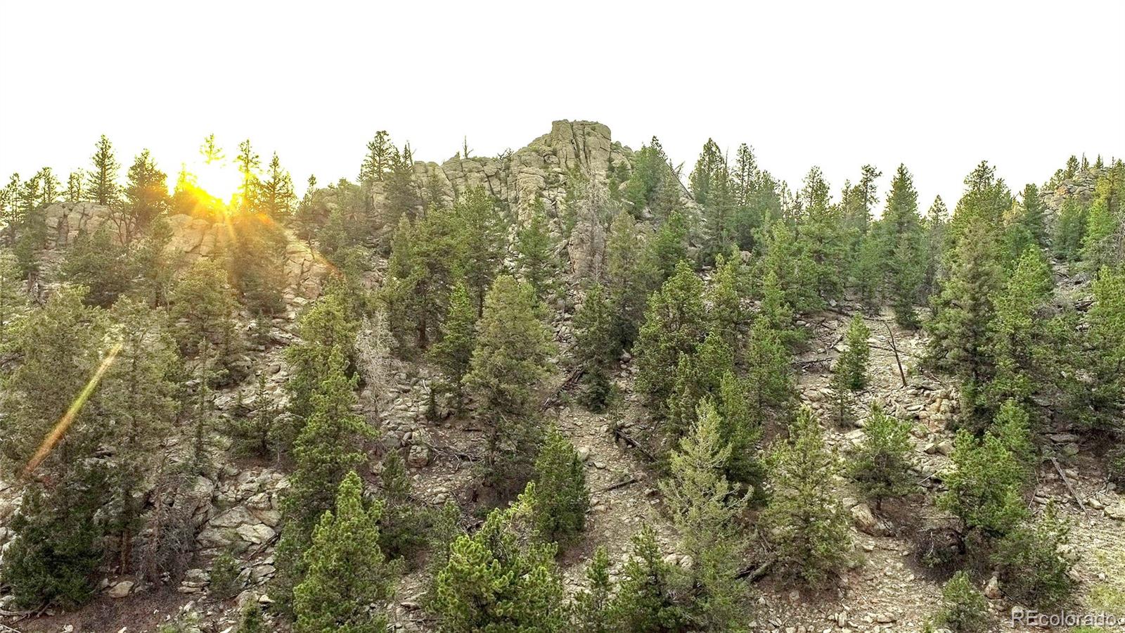MLS Image #6 for 218 n quarter horse ,como, Colorado